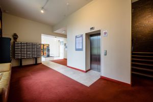 Photo 45- click for photo gallery